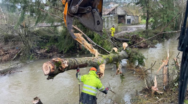 Matigreen na prevenção pós-tempestade Matigreen na prevenção pós-tempestade