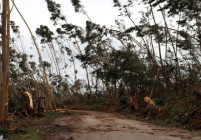 Ourém aprova revisão orçamental  | 8,6 milhões para fazer face aos danos da depressão Kristin 