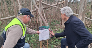 Operação Integrada de Gestão da Paisagem Serras do Norte de Ourém | Limpeza florestal como prioridade 