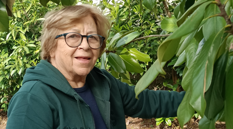 Uma mulher que encontrou a política na participação cívica 