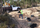 Ourém | Operação florestal de emergência Ourém | Operação florestal de emergência