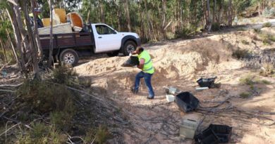 Ourém | Operação florestal de emergência Ourém | Operação florestal de emergência