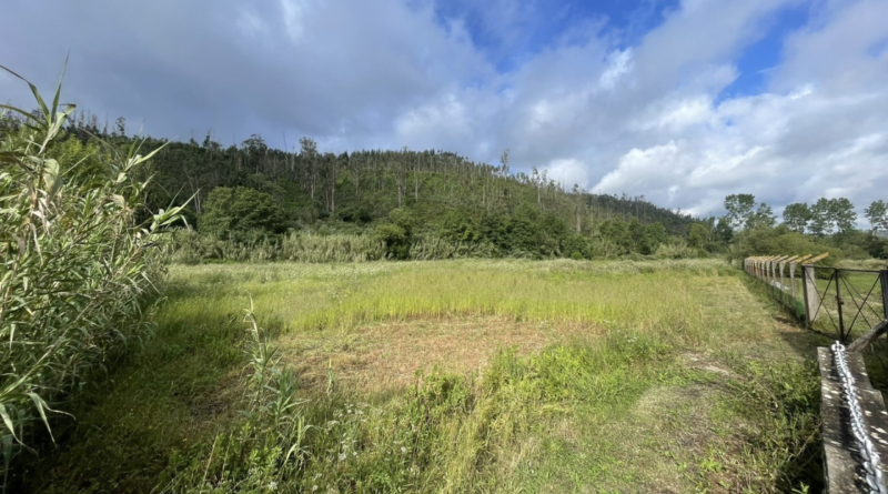Ourém | Novo ponto de água na Urqueira reforça defesa da floresta  