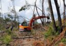 Ourém | 2,5 milhões para retirar madeira das propriedades afetadas pela tempestade Ourém | 2,5 milhões para retirar madeira das propriedades afetadas pela tempestade